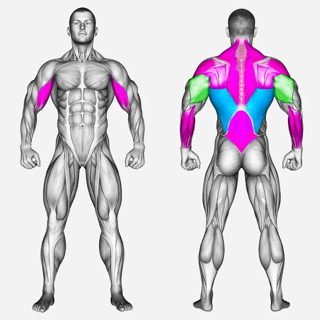 عضلات-درگیر-زیربغل-سیم-کش-از-پشت