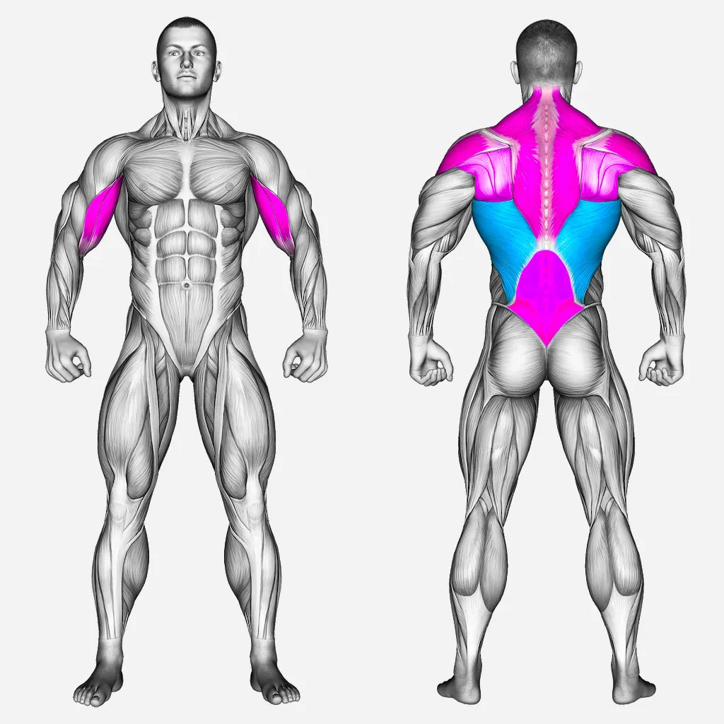 عضلات-درگیر-زیربغل-دستگاه-H